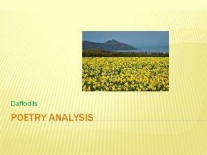 Daffodils POETRY ANALYSIS POETIC DEVICES DEFINE Alliteration Metaphor