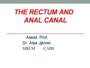 THE RECTUM AND ANAL CANAL Assist Prof Dr