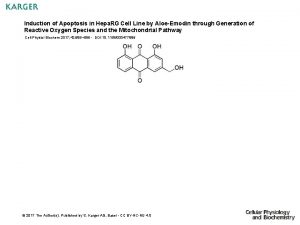 Induction of Apoptosis in Hepa RG Cell Line