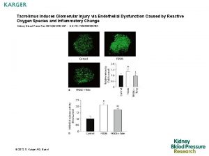 Tacrolimus Induces Glomerular Injury via Endothelial Dysfunction Caused