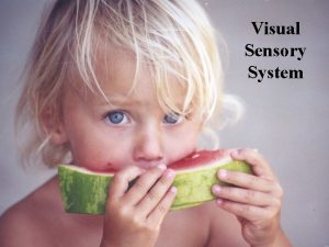 Visual Sensory System Wavelengths of Light Electromagnetic Spectrum