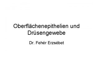 Oberflchenepithelien und Drsengewebe Dr Fehr Erzsbet Gewebe gleichartige