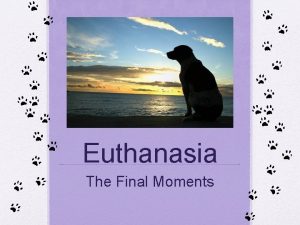 Euthanasia The Final Moments What is Euthanasia Euthanasia