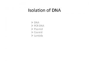Isolation of DNA PCR DNA Plasmid Cosmid Lambda