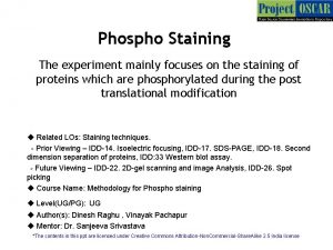 Phospho Staining The experiment mainly focuses on the