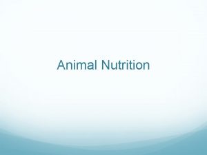 Animal Nutrition nutrition Food taken in taken apart