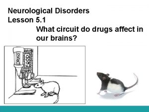 Neurological Disorders Lesson 5 1 What circuit do
