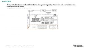 Hydrogen Sulfide Decreases BloodBrain Barrier Damage via Regulating