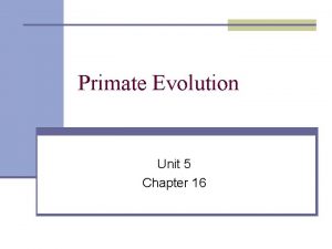 Primate Evolution Unit 5 Chapter 16 Primates a