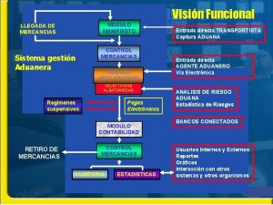 Visin Funcional MODULO MANIFIESTO LLEGADA DE MERCANCIAS Sistema