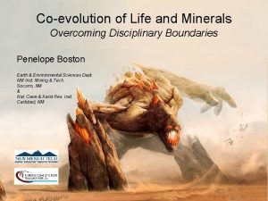 Coevolution of Life and Minerals Overcoming Disciplinary Boundaries