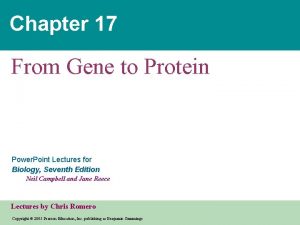 Chapter 17 From Gene to Protein Power Point