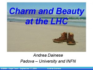 Charm and Beauty at the LHC Andrea Dainese