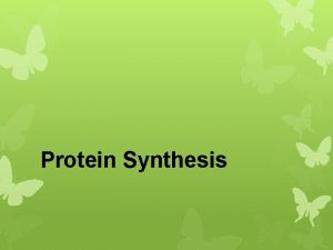 Protein Synthesis POGIL REVIEW Animation of the Flow