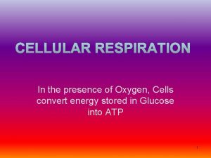 In the presence of Oxygen Cells convert energy