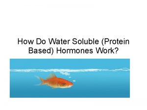 How Do Water Soluble Protein Based Hormones Work