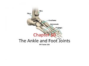 Chapter 10 The Ankle and Foot Joints PPT