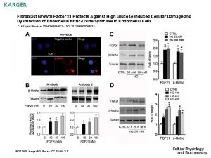 Fibroblast Growth Factor 21 Protects Against High Glucose