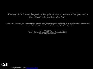 Structure of the Human Respiratory Syncytial Virus M