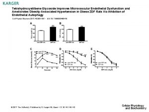 Tetrahydroxystilbene Glycoside Improves Microvascular Endothelial Dysfunction and Ameliorates