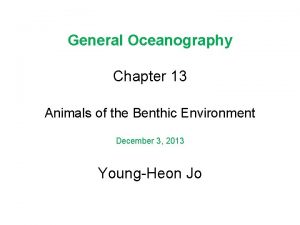 General Oceanography Chapter 13 Animals of the Benthic