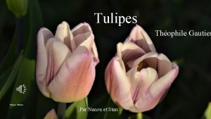 Tulipes Thophile Gautier Par Nanou et Stan Moi