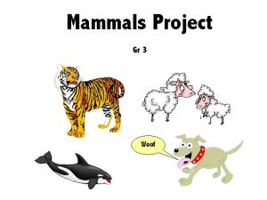 Mammals Project Gr 3 Woof You have learned