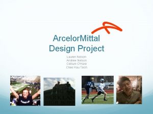 Arcelor Mittal Design Project Lauren Nelson Andrew Nelson