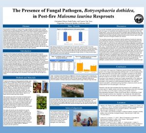 The Presence of Fungal Pathogen Botryosphaeria dothidea in