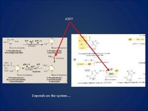 ATP Depends on the system 1 ATP Glucose