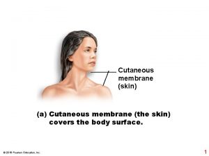 Cutaneous membrane