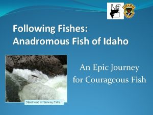 Following Fishes Anadromous Fish of Idaho An Epic