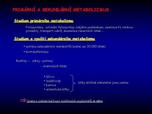 PRIMRN A SEKUNDRN METABOLIZMUS Studium primrnho metabolizmu Fotosyntza