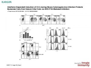 InterferonDependent Induction of Clrb during Mouse Cytomegalovirus Infection