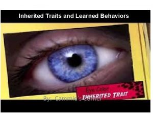 Inherited Traits and Learned Behaviors By Cammies Corner