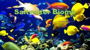 Saltwater Biome By Elyna And Chloe Climate and