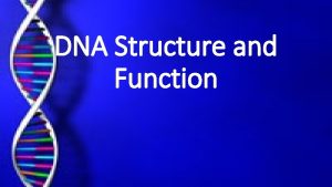 DNA Structure and Function Videos http app discoveryeducation