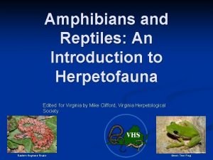 Amphibians and Reptiles An Introduction to Herpetofauna Edited