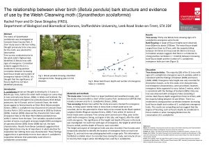 The relationship between silver birch Betula pendula bark