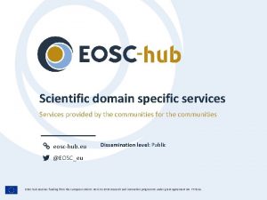 Scientific domain specific services Services provided by the