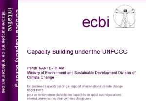 Capacity Building under the UNFCCC european capacity building
