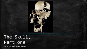 The Skull Part one BIOL 495 Chapter Seven