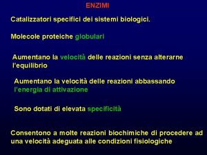 ENZIMI Catalizzatori specifici dei sistemi biologici Molecole proteiche