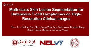 Multiclass Skin Lesion Segmentation for Cutaneous Tcell Lymphomas