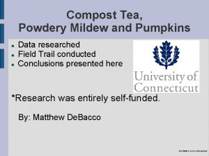 Compost Tea Powdery Mildew and Pumpkins Data researched