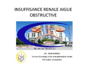 INSUFFISANCE RENALE AIGUE OBSTRUCTIVE DR BENSIAHMED Service durologie