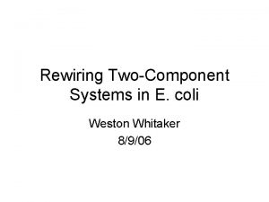 Rewiring TwoComponent Systems in E coli Weston Whitaker