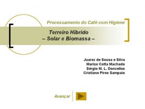 Processamento do Caf com Higiene Terreiro Hbrido Solar