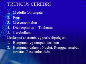 TRUNCUS CEREBRI 1 Medulla Oblongata 2 Pons 3