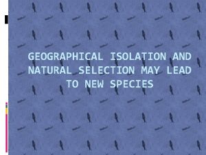 GEOGRAPHICAL ISOLATION AND NATURAL SELECTION MAY LEAD TO